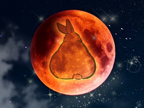 うさこ先生写真