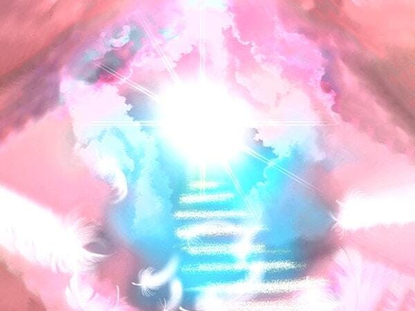 シエル先生写真