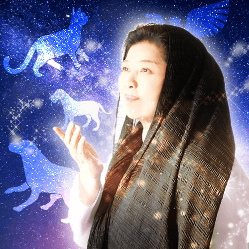 セラヴィ先生画像
