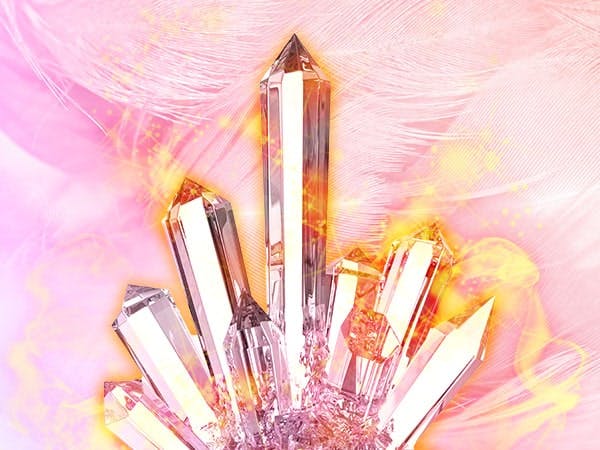 ミネルヴァ先生写真