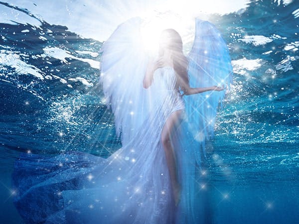 海風 めぐり先生写真